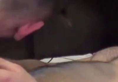 The seyx axel max fucked by Dani Bash