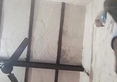 Big Indian Cock
