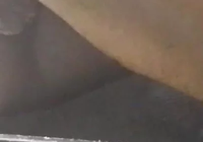 Temptingtalex