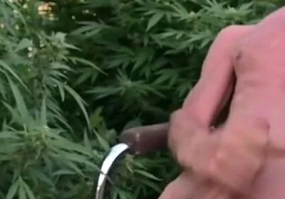 Cumshot Outdoors