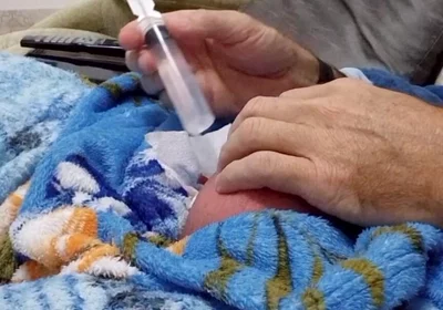 60cc Saline Injection in Each Egg
