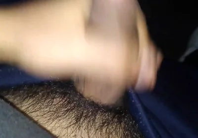Pleasure in the Afternoon