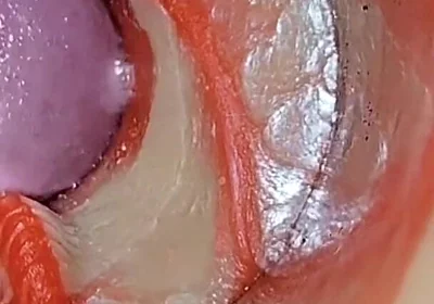 Compilation Creampie Part 2 POV