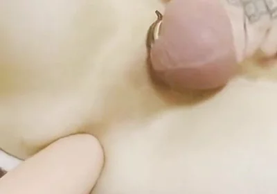 Solo Otter Ass Gaping.