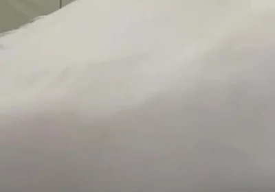 Essa Fake