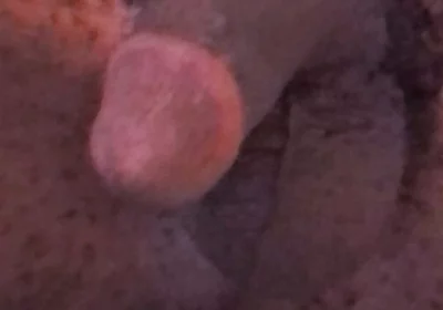 Wanna Get Fucked and Breed??