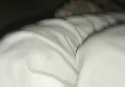 Night Time Vlog It Home and. Sex Girl Friend