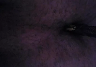 I'm Sticking a Razor Blade up My Ass.