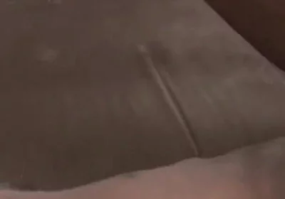 Stepdaddy Champ's Got a Big Ole Dick for You to Play