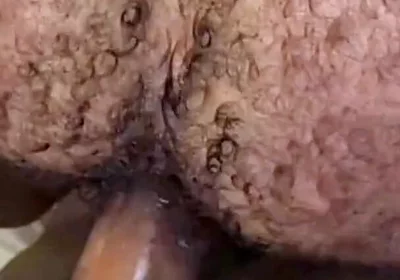 Que Rico Este Culo Peludo Y Tragón