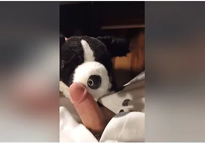 Border Collie Plushie Licks And Makes Onesie Pubby Cum!