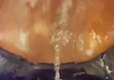 Creampie Ejector