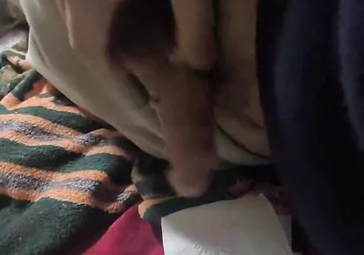 İ'm Cumming