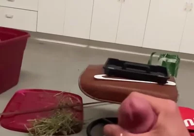 2821668272.mp4