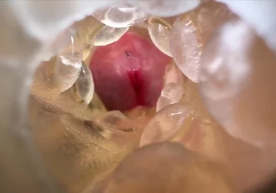 Huge Creampie with Internal View While Fucking Fleshlight, Moaning and Dirty Talking