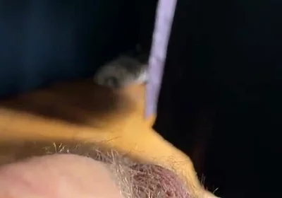 Cum with Tim Blesh