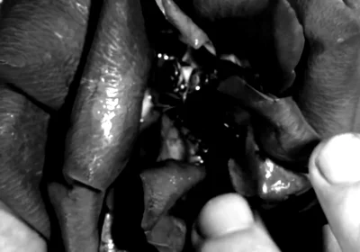 Hand Fetish - My Hands Destroying Flowers and Fruit