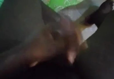 Haydenbbc Video