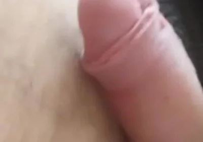 Penis