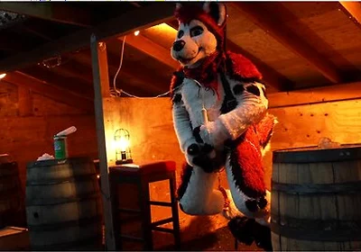 Husky Fursuiter Suspension Jerkoff
