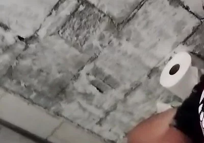 I Come to the Bathroom Because I Need to Pull It