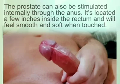 Prostate Orgasams Anal