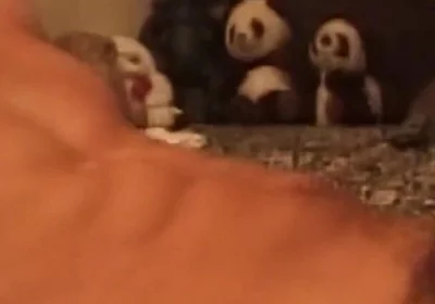 Throbbing Cock Deepthroat Gagging Till Drooling Mess