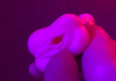 Fun Toy Play