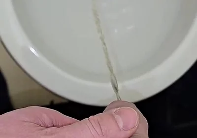 Pissing to the Toilet