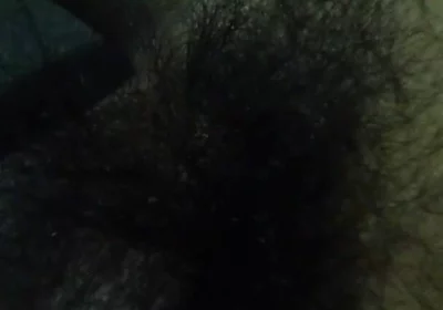 Owl Wake up
