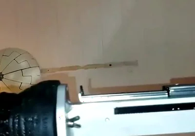 Mr. Hankey's Dragon Dildo Xl Full Insertion Doggy Anal Fucking Machine