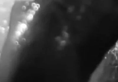 Stylish Compilation of Masturbation Shots - Self Shot Big White Cock and Cum