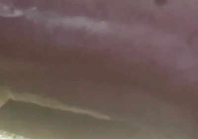 My Cock in a Vacuum