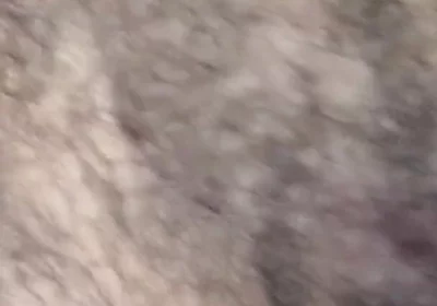 Some Fun Nipple Stuff for Titty Tuesday!
