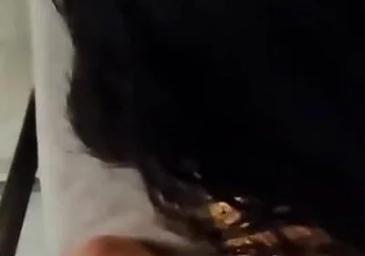 The Boy Sucks the Cock of the Mature Daddy