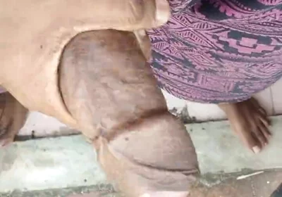 Tamil10inchesbbc Sexy Open Terrace Show
