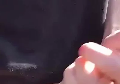 The Sunshine