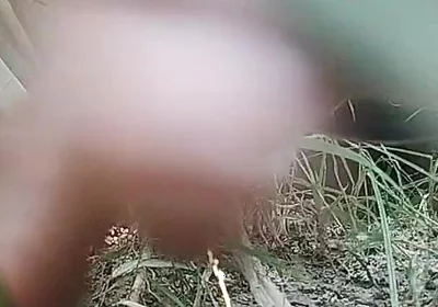 The Village Boy Went to the Cornfield and Hit Him Hard
