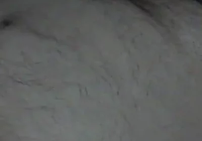 Bear Daddy Cums