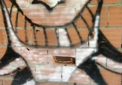 Amateur Boy Caught Bare Ass in Abandoned Building