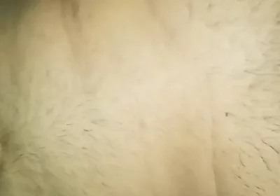 I Fucked My White Gay Friend