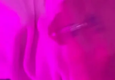Who Likes Milk?