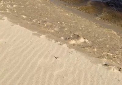 Beach Walk