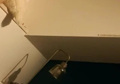Trying the New Lights