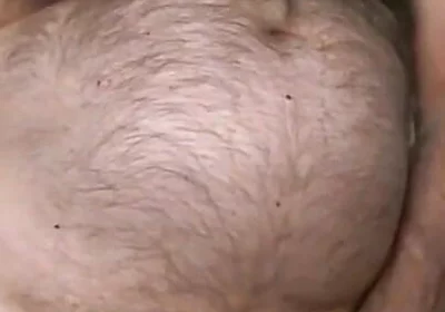 Furry Bear Coach Karl Live Cam Show
