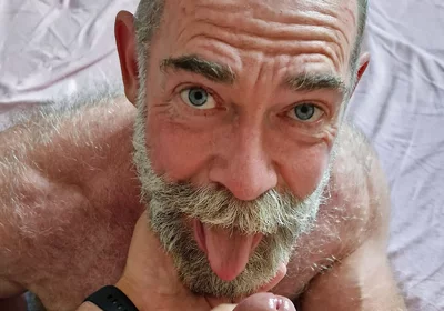 Bear Needs a Load