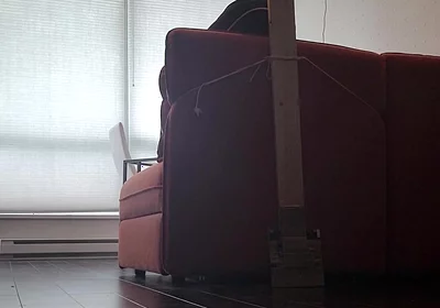 Trying to Learn Something New