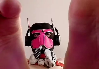 Paws Took Over Your Screen