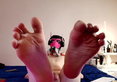 Paws Took Over Your Screen