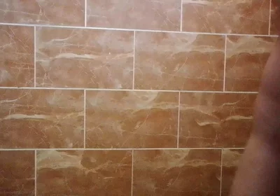 I Made a Video in the Toilet While Taking a Shower.
